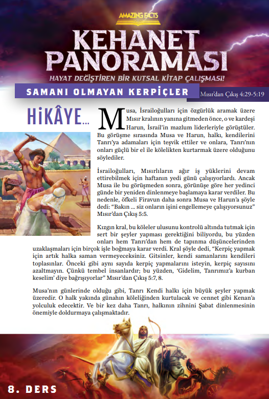 Ekran görüntüsü 2024-11-24 211919